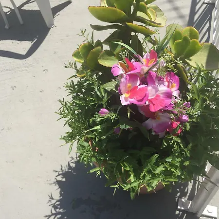 Miltos * Paleokastritsa